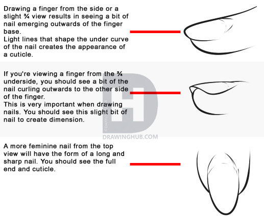 517x432 How To Draw Nails, Step - Nail Drawing