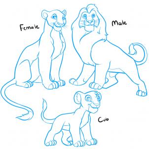 302x302 How To Draw How To Draw A Lion King Nala - Nala Lion King Drawing