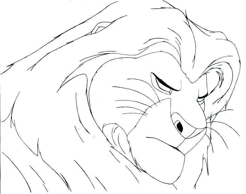 800x631 Nala Lion King Colouring Pages Coloring Simba And The L Large Size - Nala Lion King Drawing