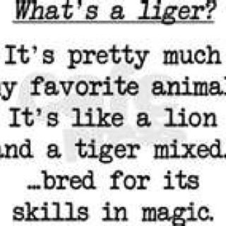 320x320 liger napoleon dynamite wild life napoleon dynamite quotes - Napoleon Dynamite Liger Drawing