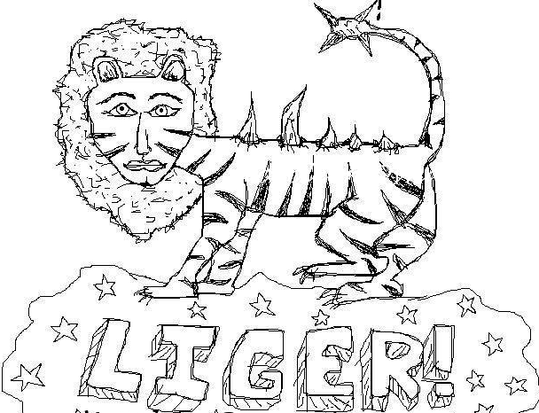 Napoleon Dynamite Liger Drawing at PaintingValley.com | Explore