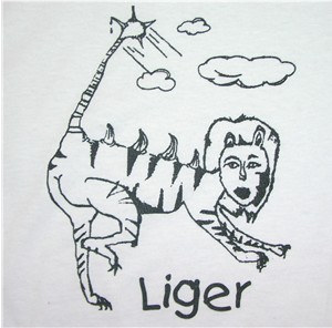 300x296 napoleon dynamite images napoleon wallpaper and background photos - Napoleon Dynamite Liger Drawing