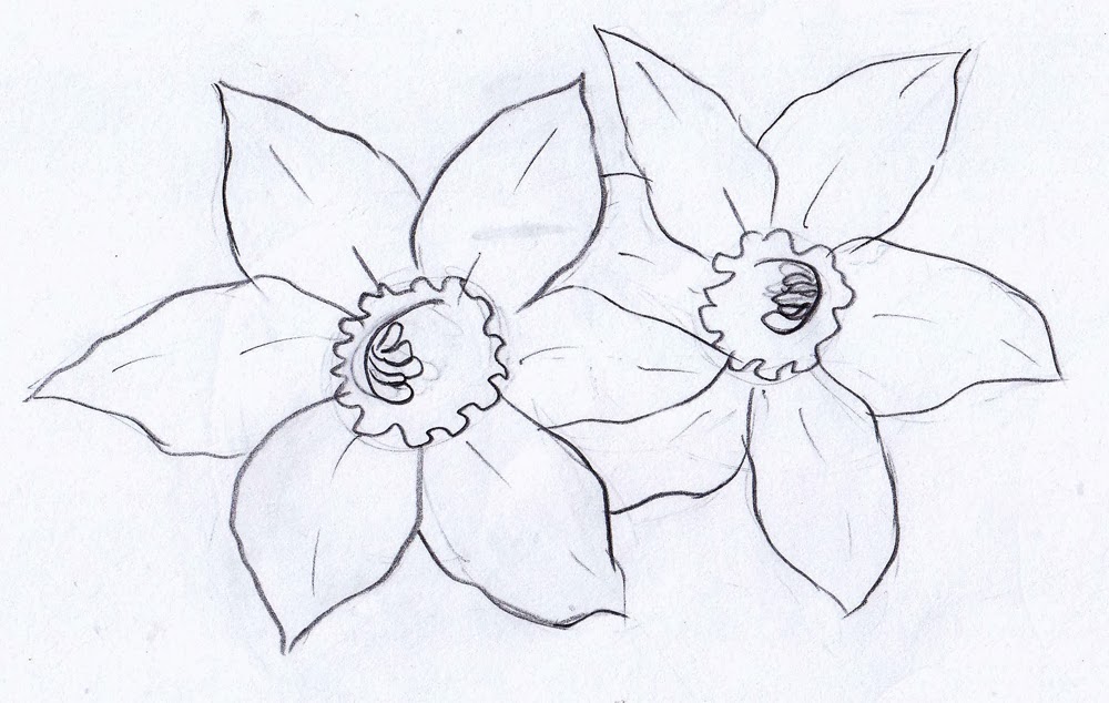 1000x634 weekly doodles and tuts how to draw a narcissusdaffodil - Narcissus Drawing
