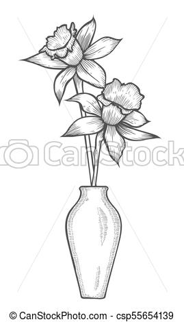 269x470 daffodil illustration, drawing vase with daffodil flowers linear - Narcissus Flower Drawing
