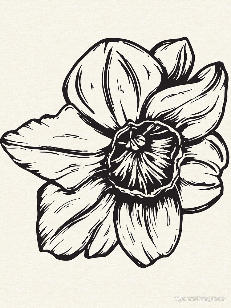 750x1000 narcissus december birth flower - Narcissus Flower Drawing