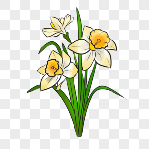 300x300 white narcissus flower hand drawing png image picture free - Narcissus Flower Drawing