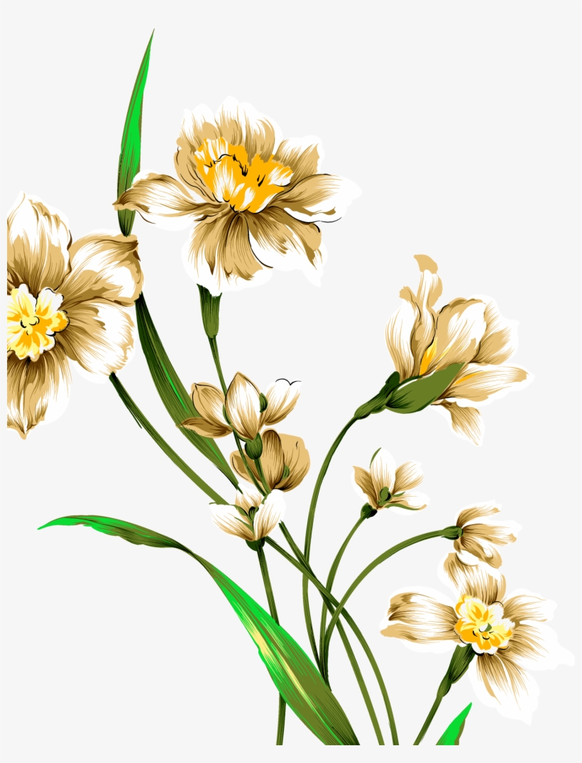 820x1075  - Narcissus Flower Drawing