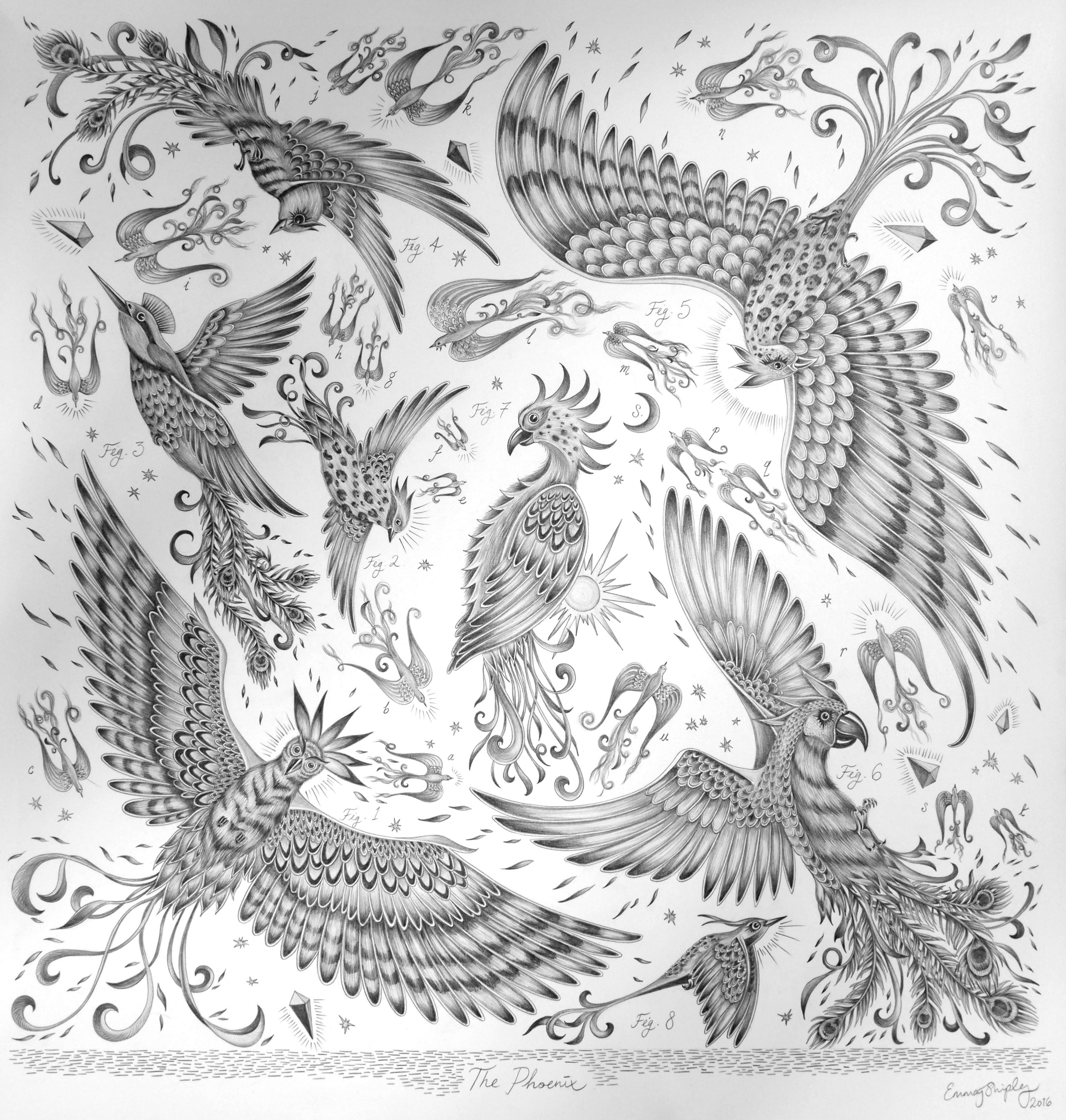 3080x3236 Phoenix Collection Drawings Emma J Shipley - Narnia Drawings