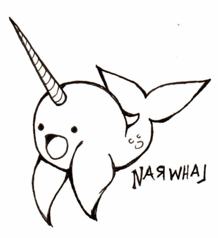 751x820 narwhal cartoon cute drawing - Narwhal Cartoon Drawing