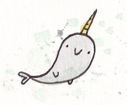 427x353 behind the books narwhal and jelly - Narwhal Cartoon Drawing
