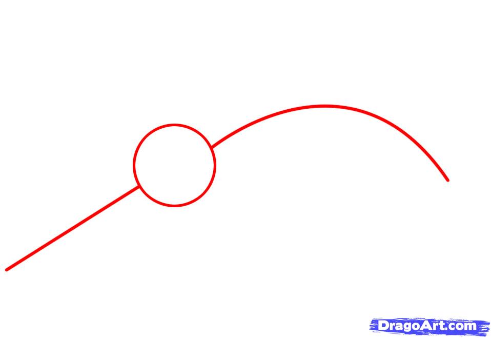 958x659 how to draw a narwhal, step - Narwhal Drawing