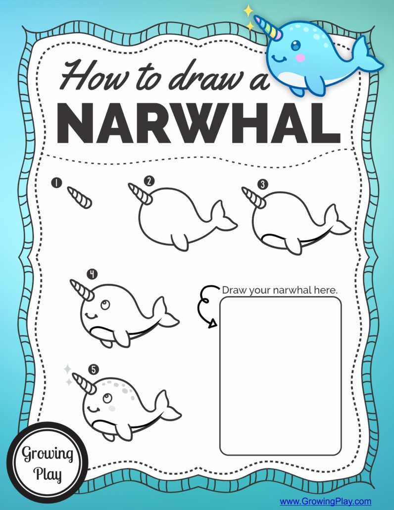 796x1030 how to draw a narwhal - Narwhal Drawing