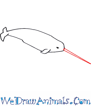300x350 how to draw a narwhal - Narwhal Drawing