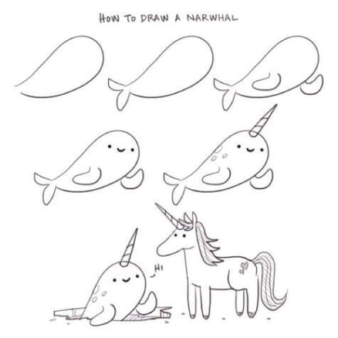 475x475 drawn narwhal line drawing - Narwhal Line Drawing