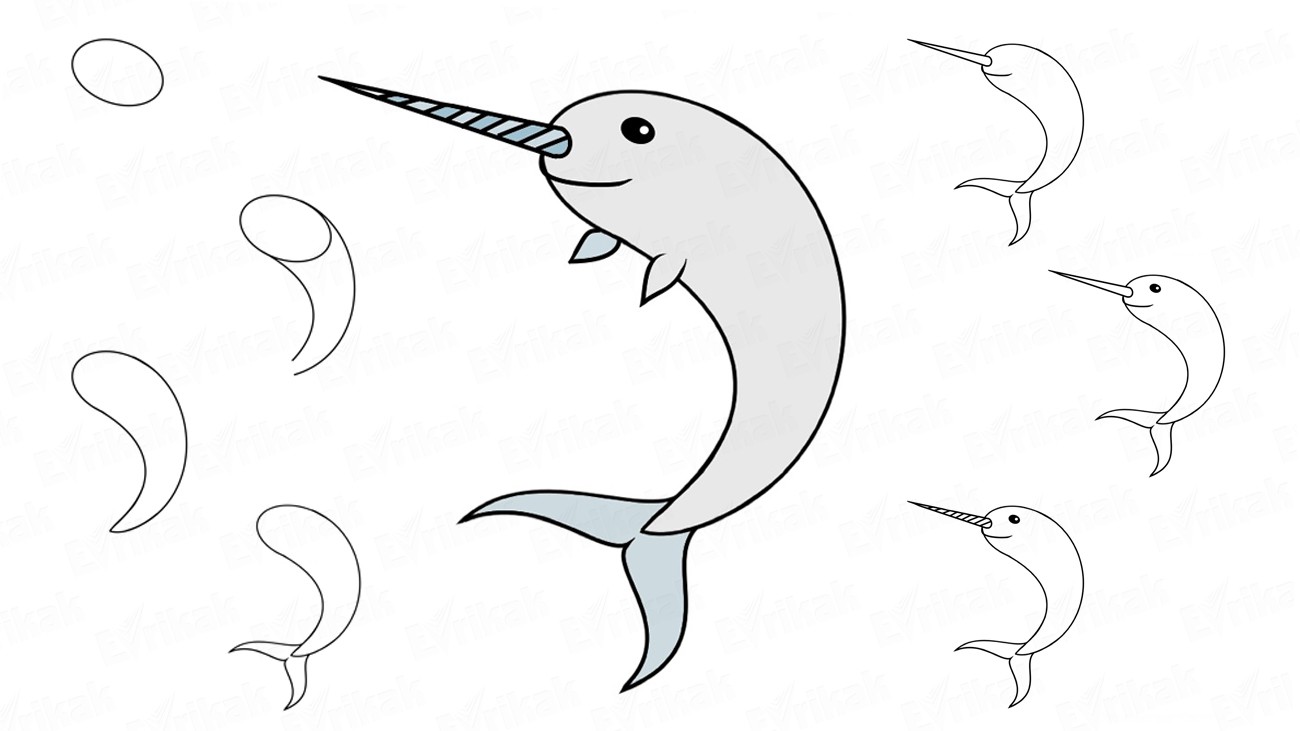 1300x731 learn to draw a sea animal narwhal - Narwhal Line Drawing