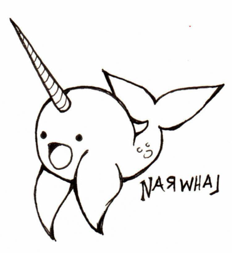 Narwhal Line Drawing at PaintingValley.com | Explore collection of ...