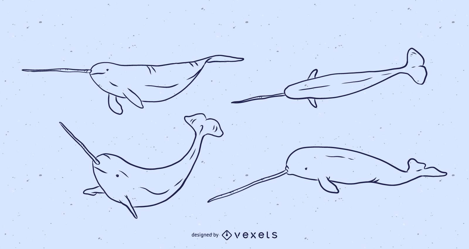 1600x849 narwhal line illustration set - Narwhal Line Drawing