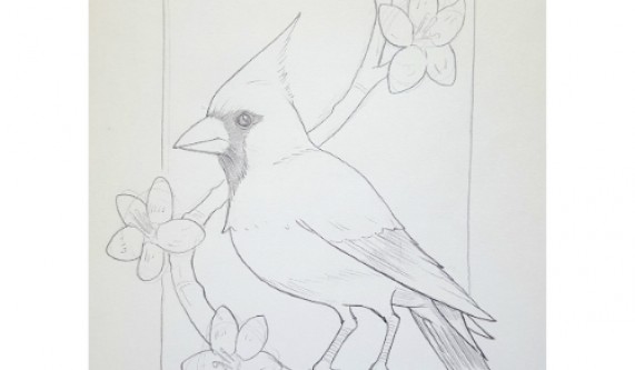 571x333 Drawing Cardinal - Nashville Drawing