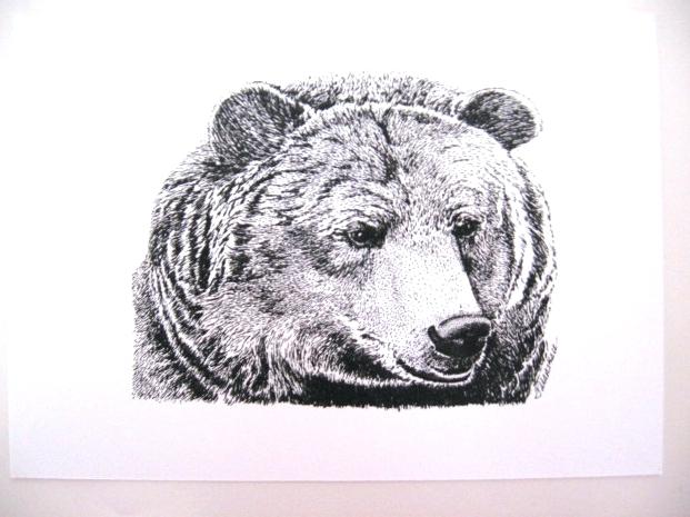 621x465 Native American Bear Art In Circle Designs Thelearningdoctor - Native American Bear Drawing