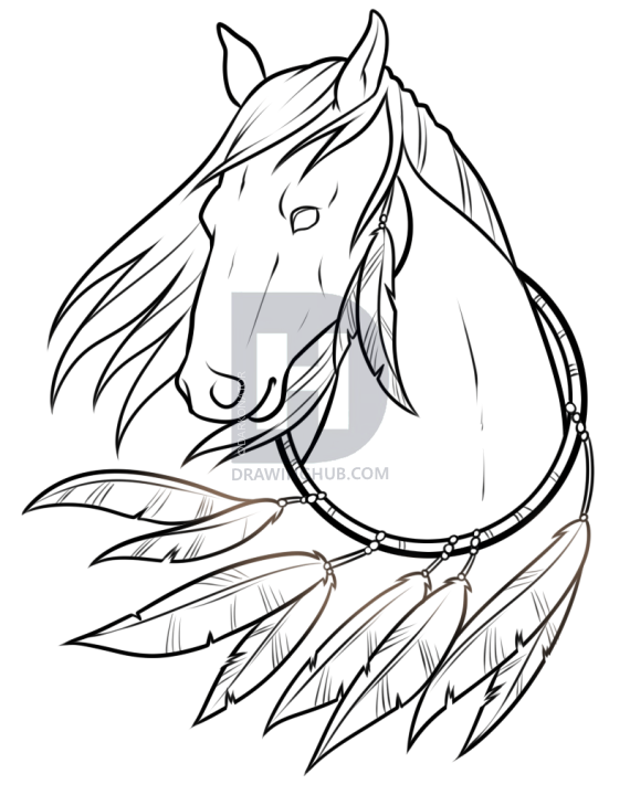 570x720 Native American Horse Drawing Lesson, Step - Native American Drawings