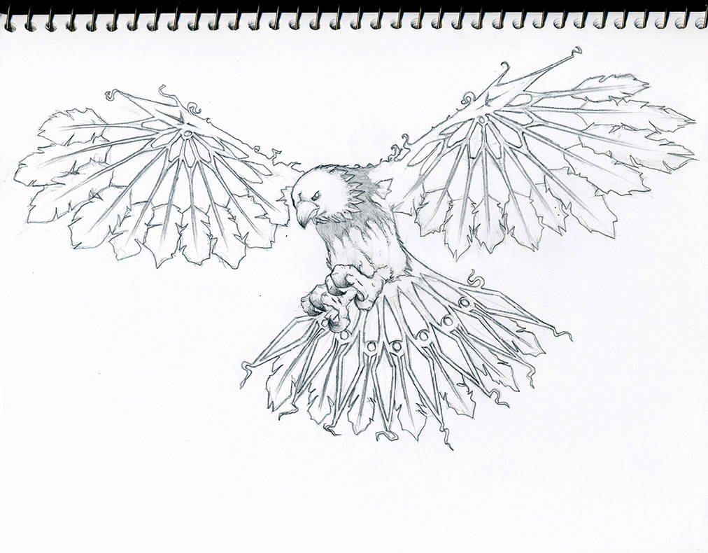 1012x790 Native American Eagle - Native American Eagle Drawing