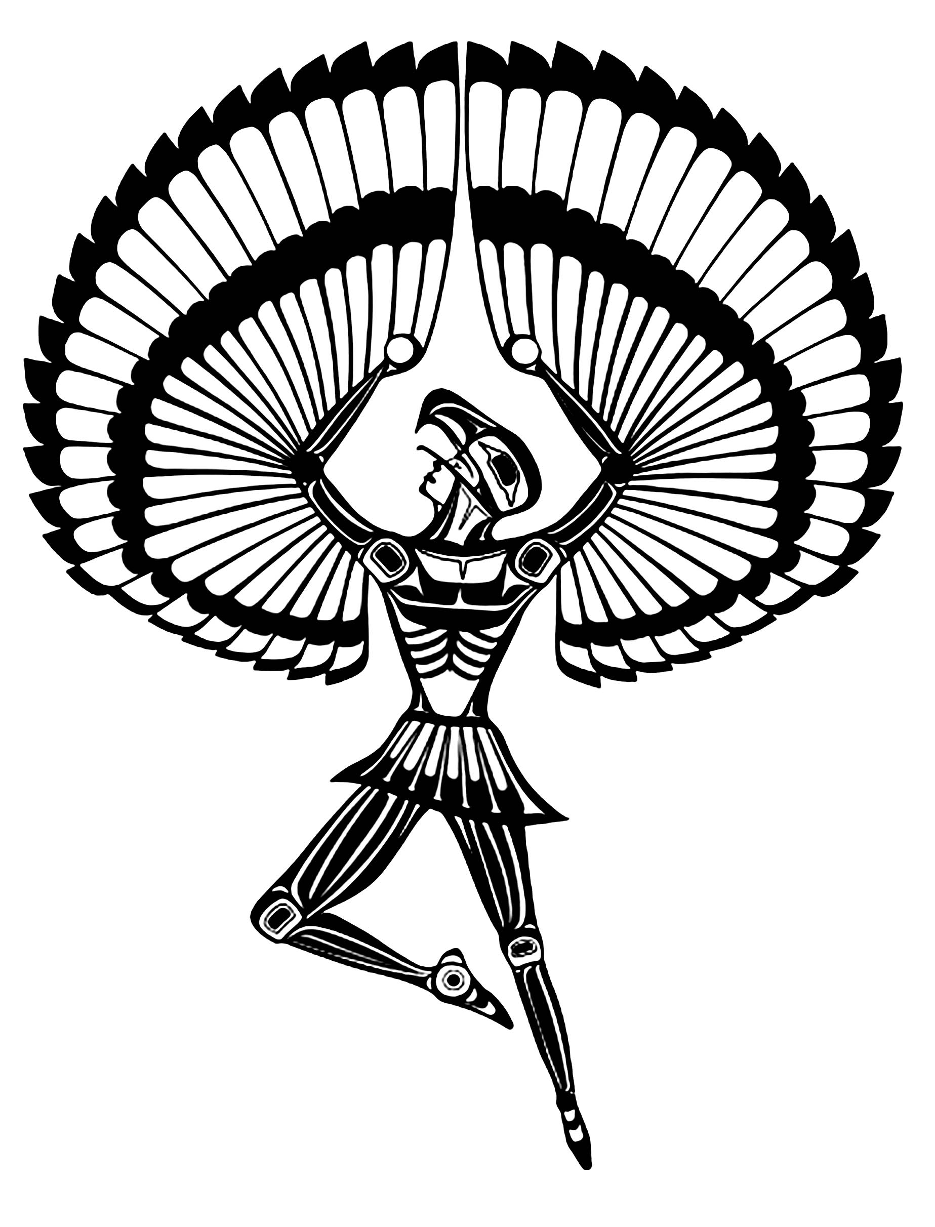 1847x2424 Native American Feather Drawing - Native American Feather Drawing