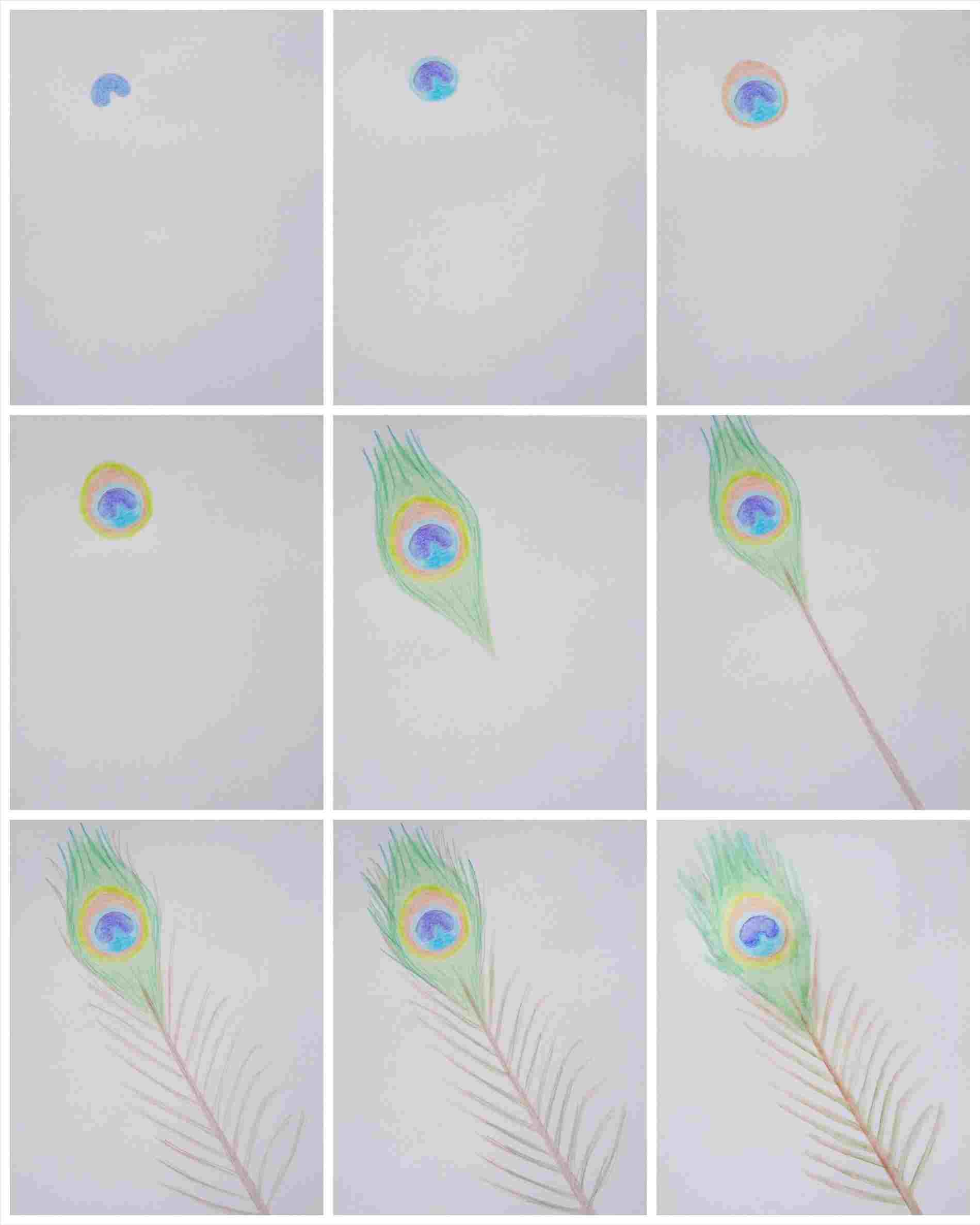 1899x2374 Drawing Easy Feather Drawing A Wolf With Native American Feathers - Native American Feather Drawing