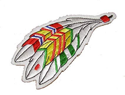 425x322 Vietnam Ribbons On Native American Feathers Patch - Native American Feather Drawing
