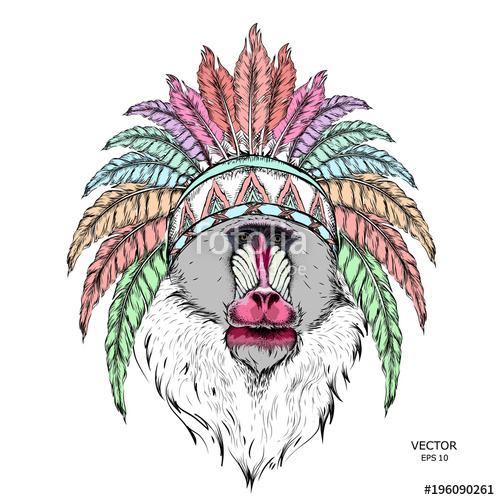 Native American Headdress Drawing