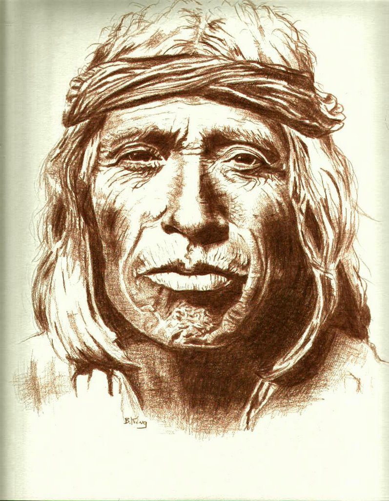 797x1024 Dreamweaver Wise One Native American Indian Drawing - Native American Indian Drawings