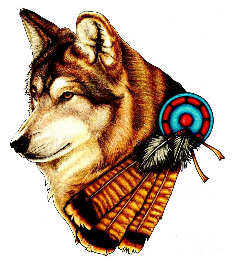 Native American Wolf Drawing at Explore collection