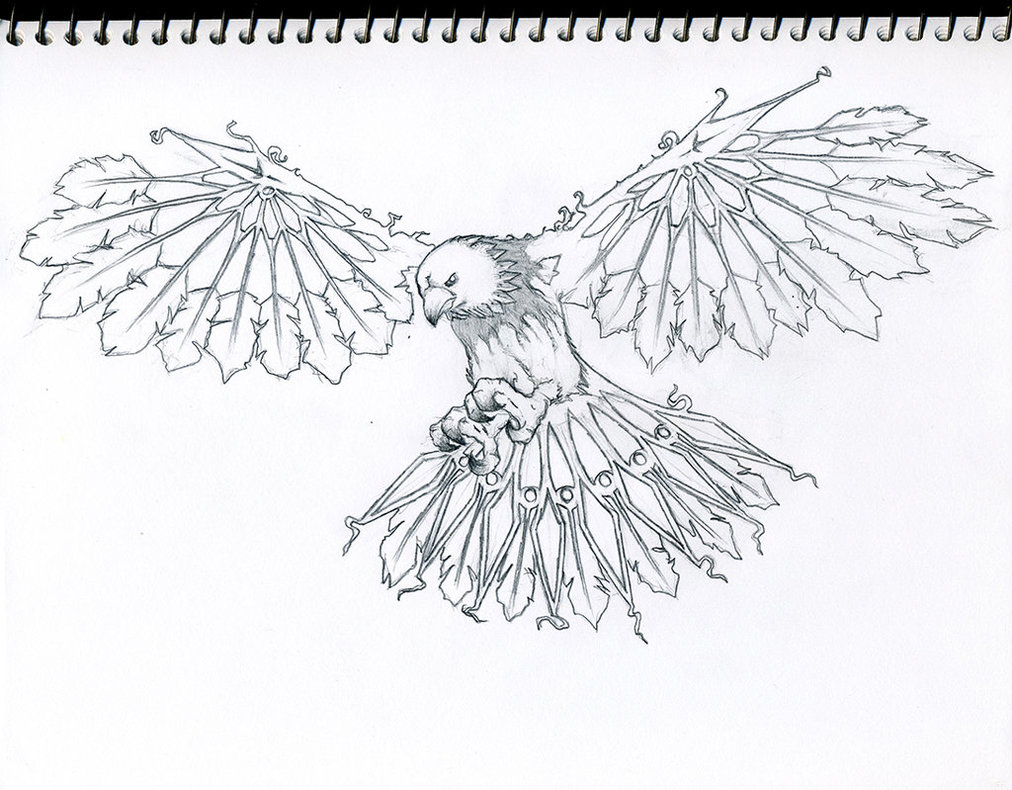 1012x790 Native American Eagle Drawings - Native Drawings