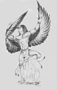 200x315 Druidcub Designs Drawing - Native Drawings