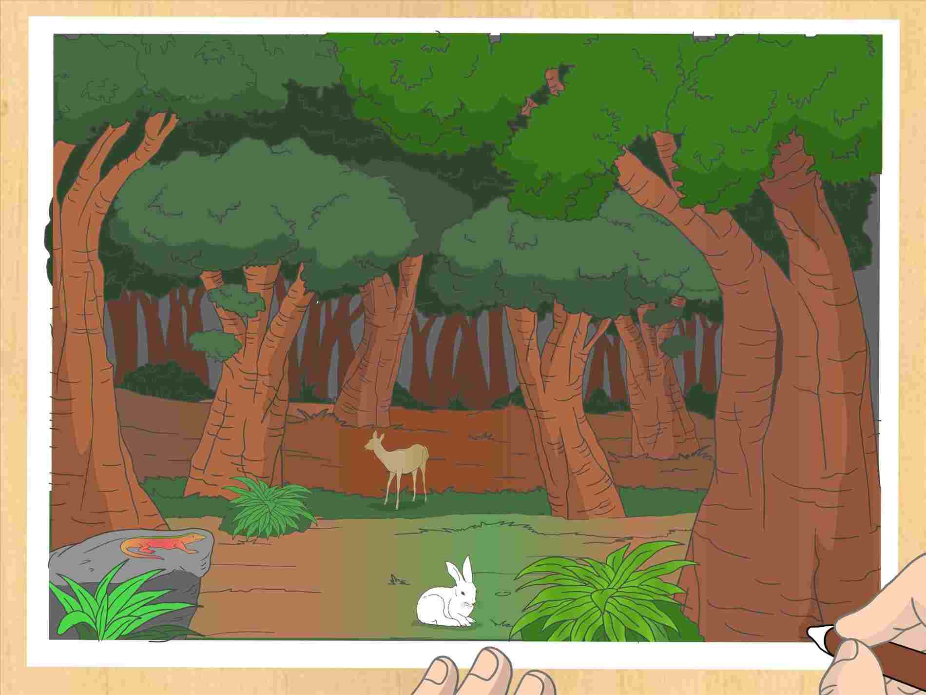 1900x1425 nature background drawing easy - Nature Background Drawing