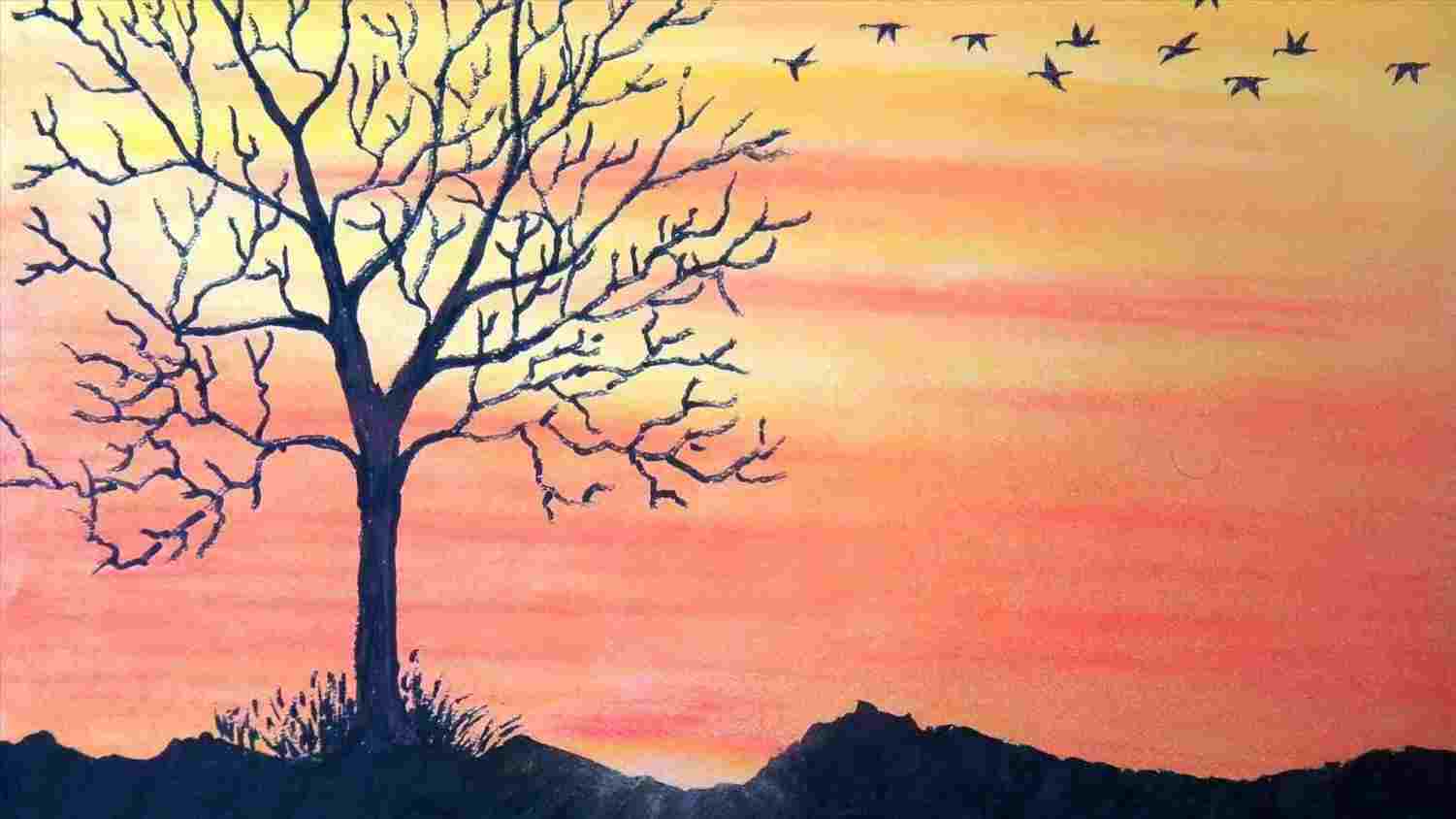 1501x844 Nature Drawing With Colour - Nature Drawing