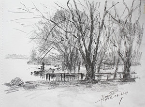 300x221 Nature Drawings Fine Art America - Nature Drawing