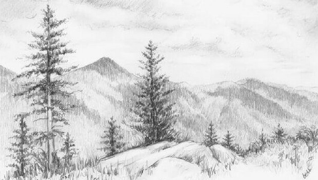 620x350 Pencil Drawings Of Nature That Will Make You Want To Be An Artist - Nature Drawing Images