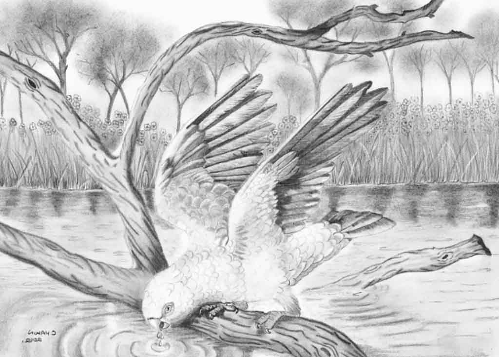 1024x732 How To Draw Nature - Nature Drawing Images