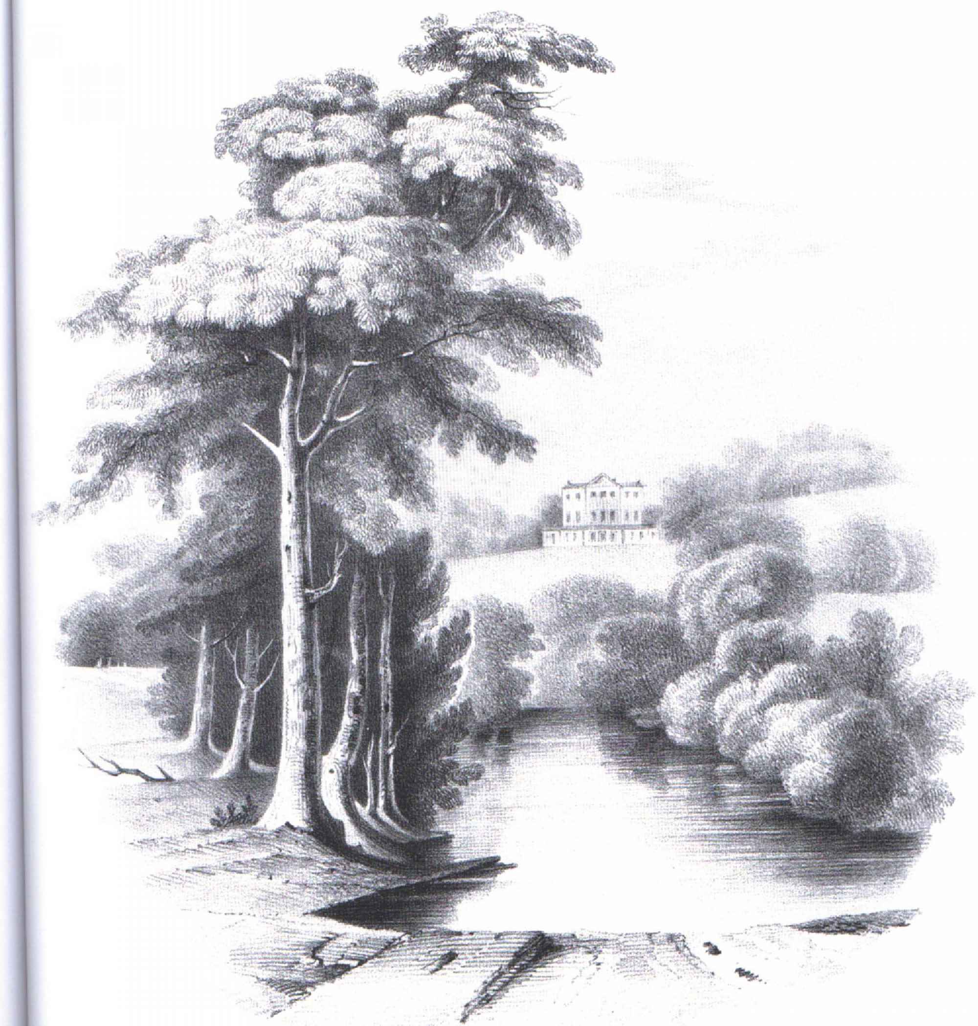 2000x2099 N Nitropdfpro - Nature Drawing Photos