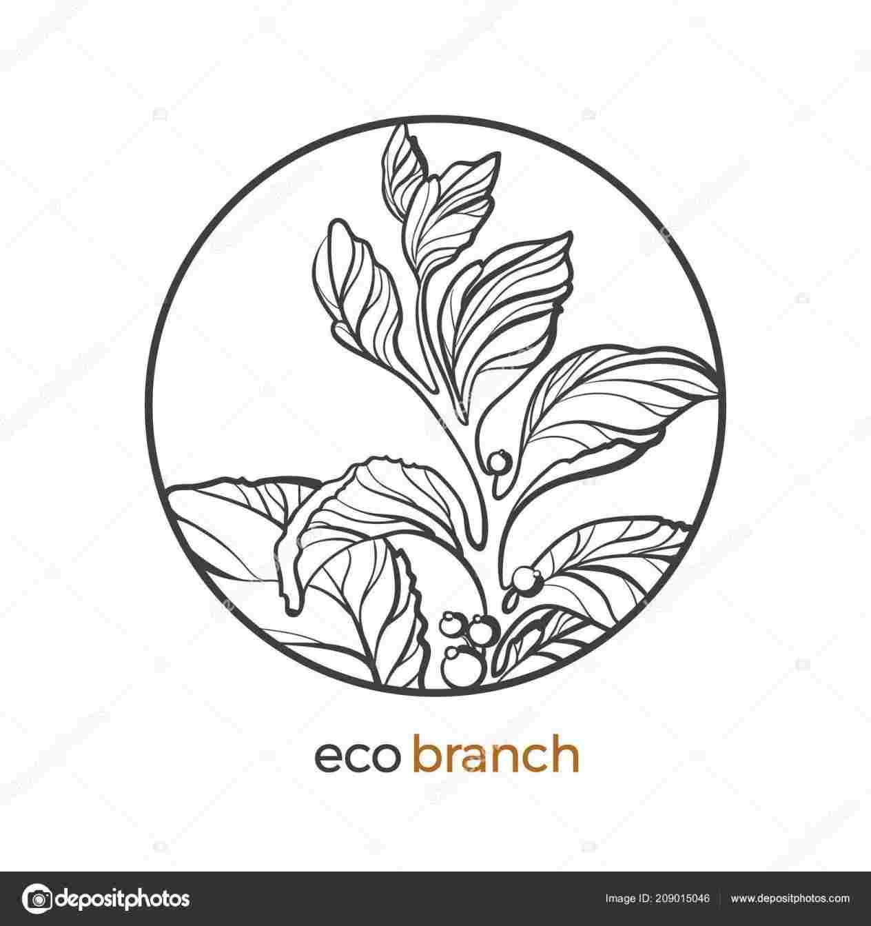 1264x1343 Line Drawings Of Nature - Nature Line Drawing