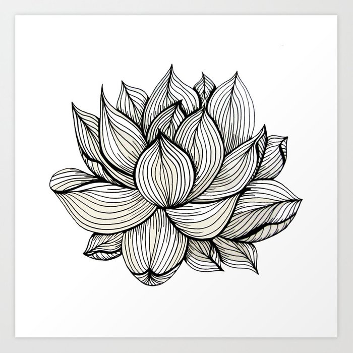 700x700 Lotus Flower, Black And White, Nature, Organic Design, Drawing - Nature Line Drawing