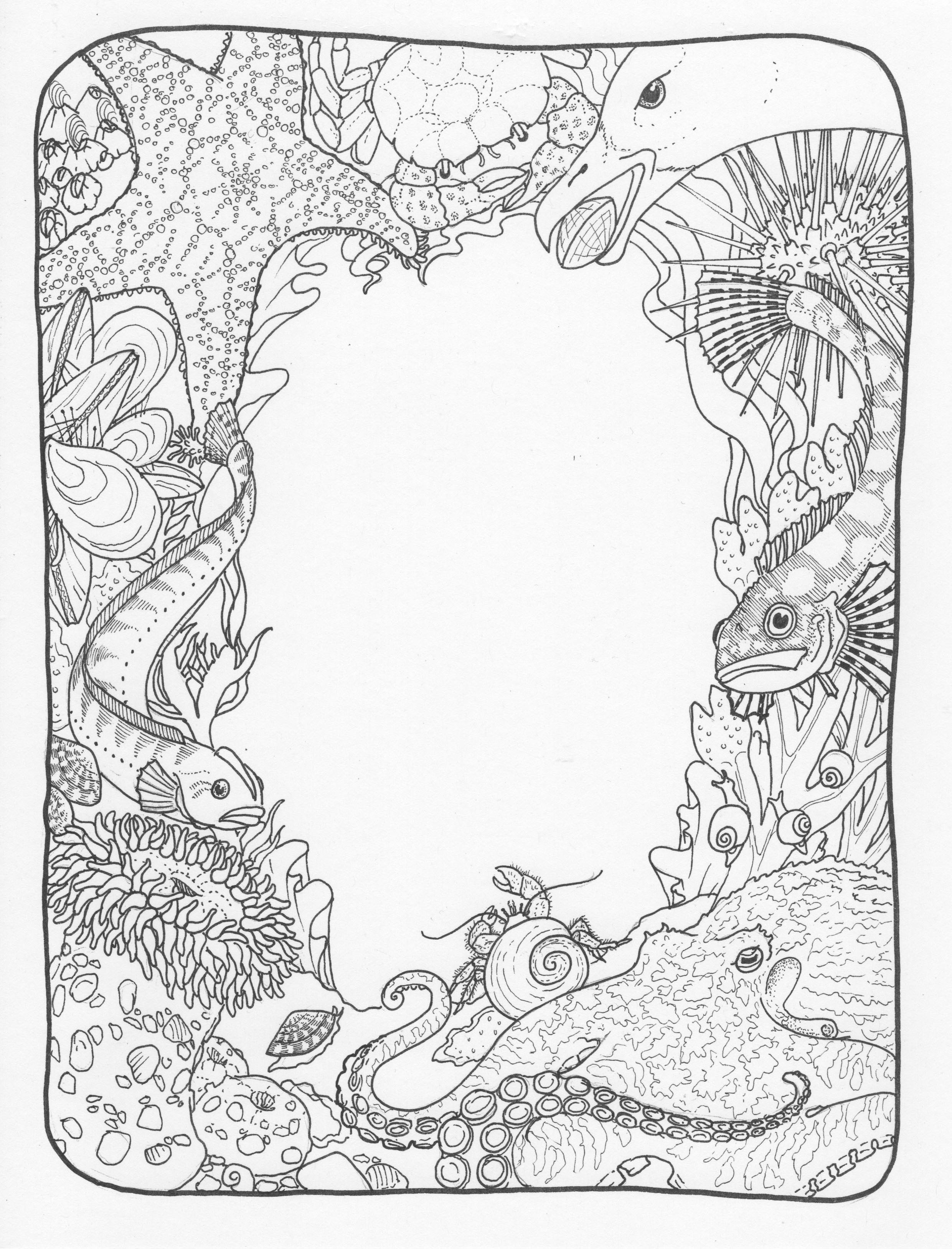 2481x3255 Nature And Sea Life Karen Gillmore Art - Nature Line Drawing