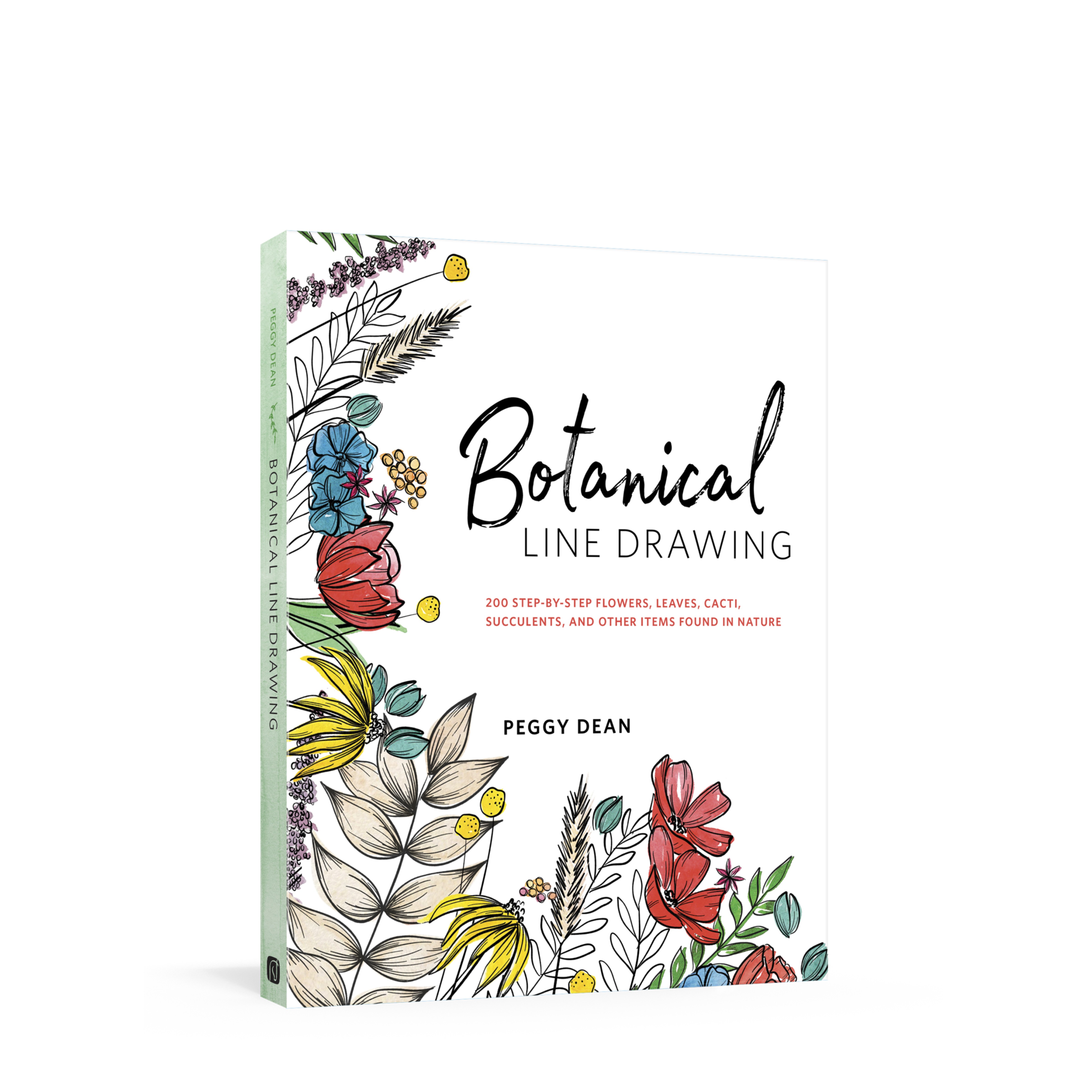 4800x4800 Botanical Line Drawing - Nature Line Drawing