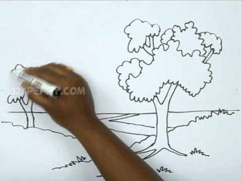 480x360 How To Draw A Natural Landscape - Nature Outline Drawing