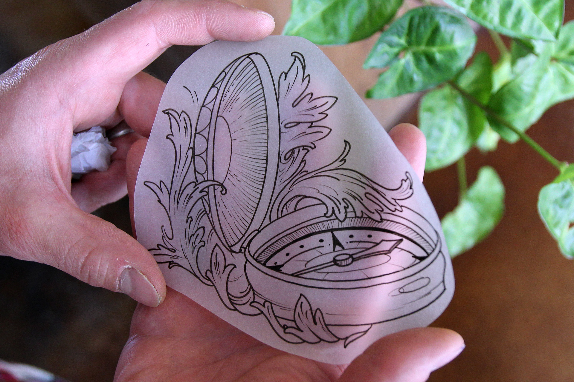 Nautical Compass Drawing at Explore collection of