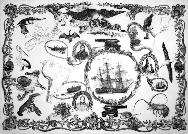 800x573 nautical body - Nautical Drawings