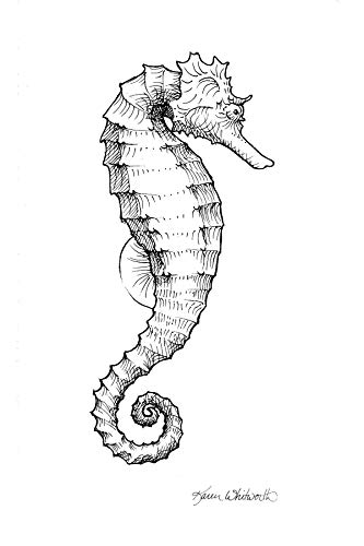 333x500 black and white nautical seahorse drawing print - Nautical Drawings