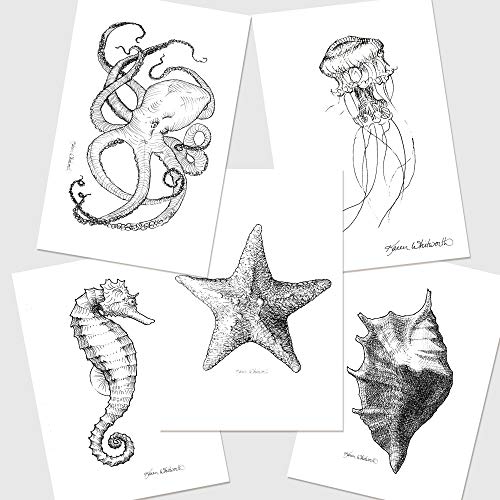 500x500 set of ocean sea life drawing wall art prints - Nautical Drawings