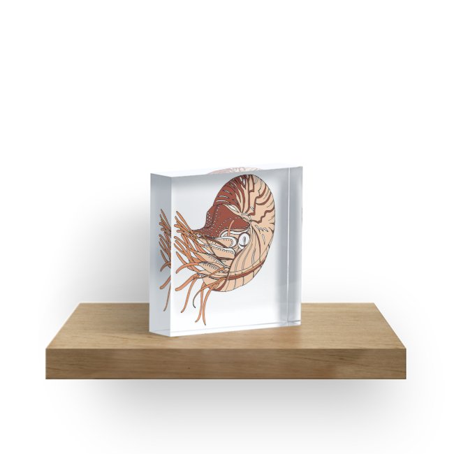 650x650 nautilus drawing acrylic blocks - Nautilus Drawing