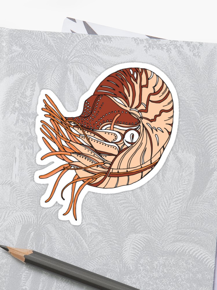 750x1000 Nautilus Drawing Sticker - Nautilus Drawing